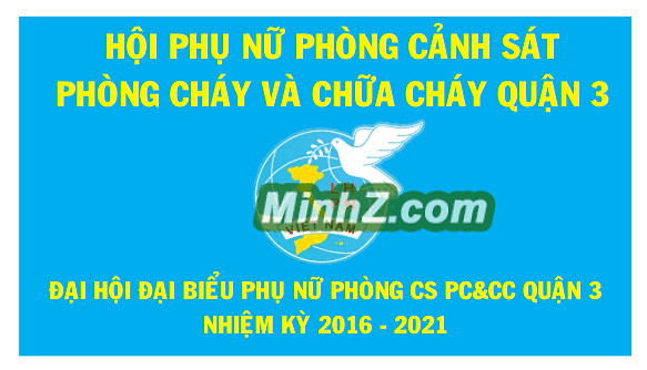 the hoi lien hiep phu nu